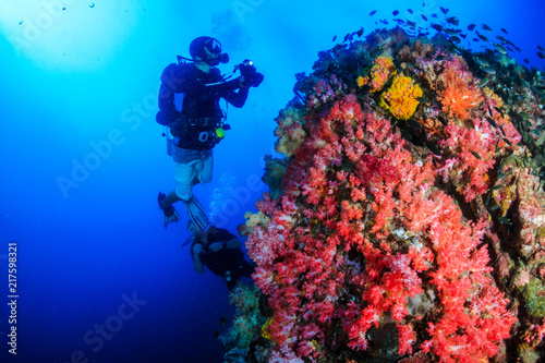 SCUBA diver exploring a colorful, healthy tropical coral reef