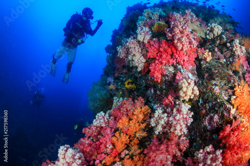 SCUBA diver exploring a colorful  healthy tropical coral reef