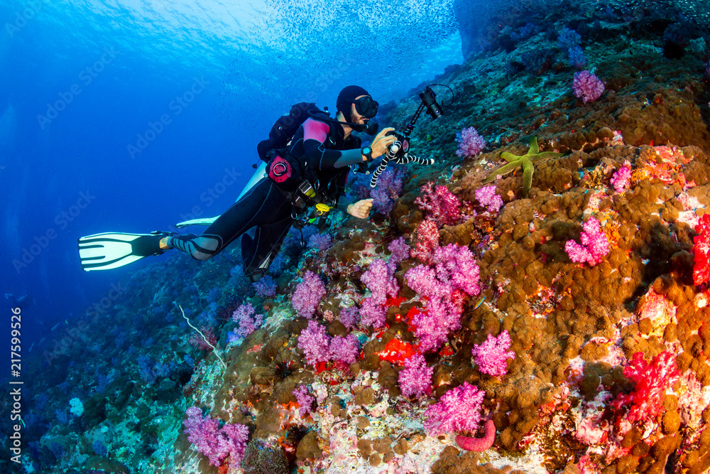 A SCUBA diver exploring a beautifully colored tropical coral reef in Myanmar