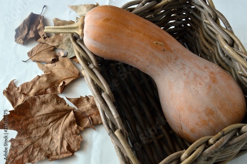 pumpkin layin on white background photo