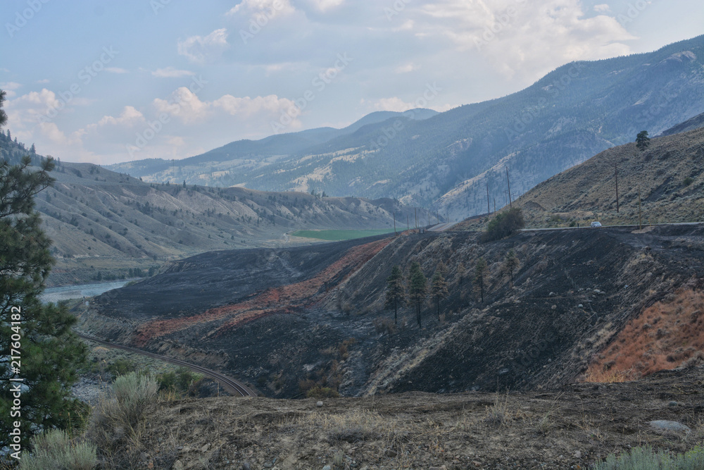 Wildfire destruction along the Thompson River north of Spence Bridge