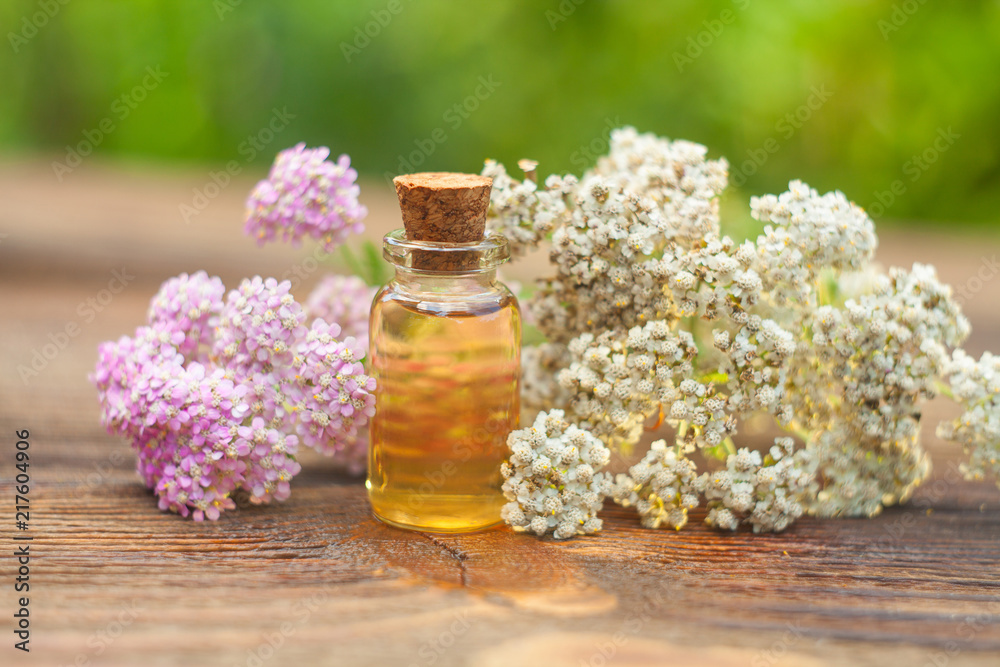 Essence of flowers on table in beautiful glass jar Essence of flowers on table in beautiful glass jar