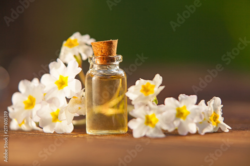 primrose essential oil in  beautiful bottle on table