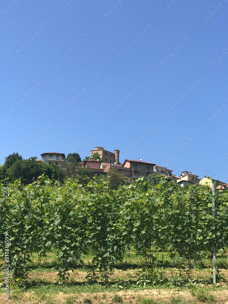 View of Roddi, a village in the Langhe hills, Piedmont - Italy