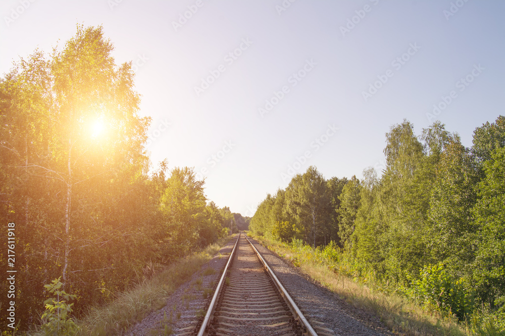 Fototapeta premium Train rails in the forest