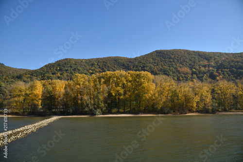 River with yellow leaves