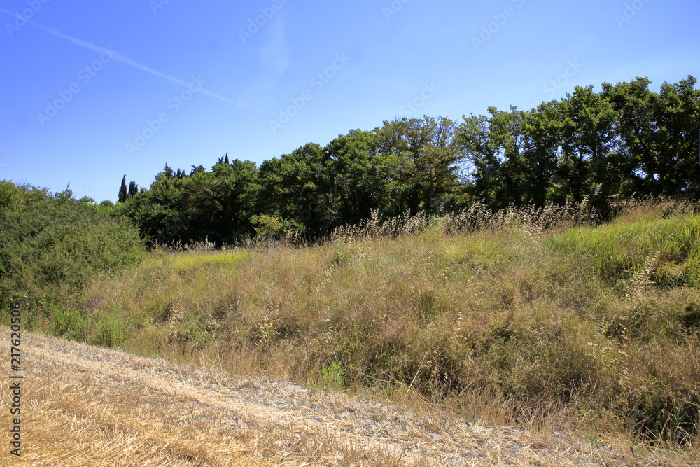 Paesaggio Toscano Paesaggio Toscano