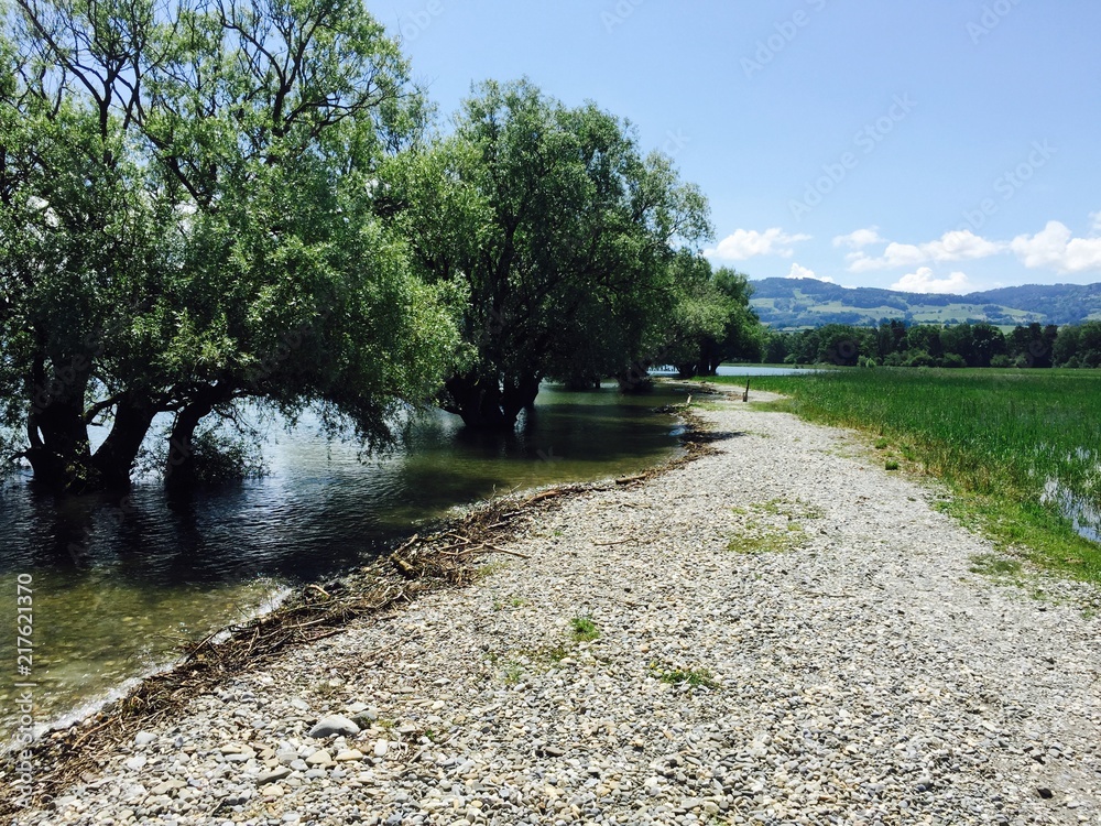 PHochwasser Bodensee 