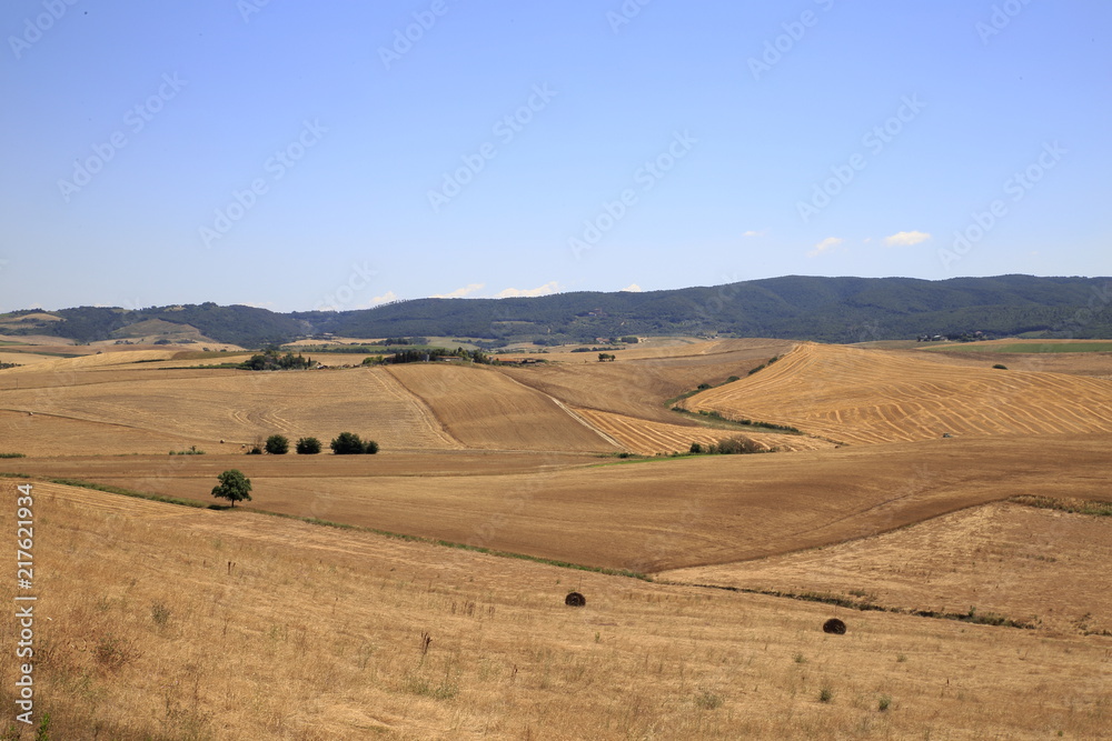 Obraz premium Paesaggio Toscano