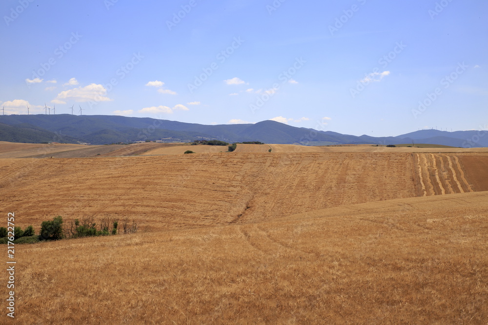 Paesaggio Toscano