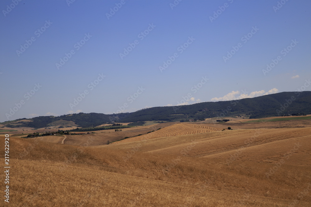 Paesaggio Toscano