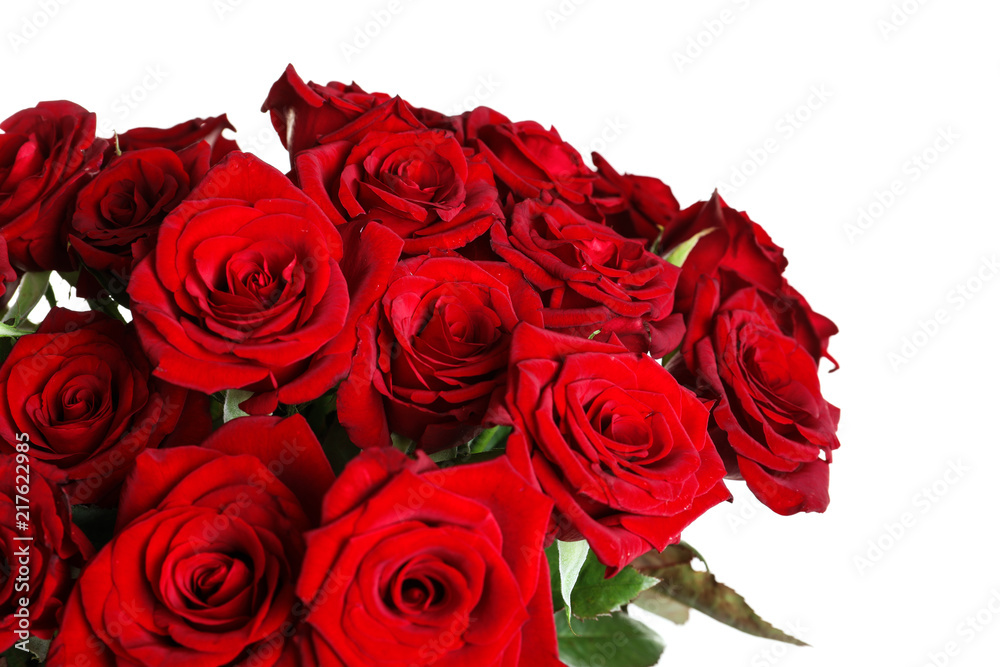 Beautiful red rose flowers on white background Beautiful red rose flowers on white background