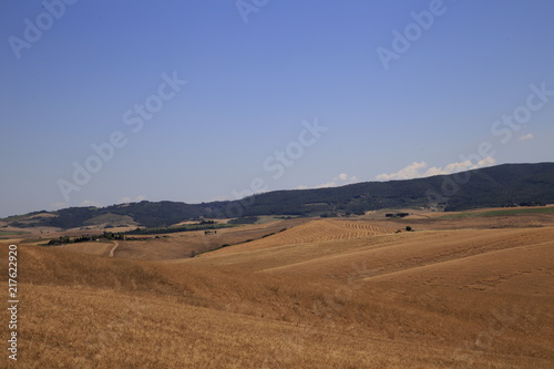 Paesaggio Toscano