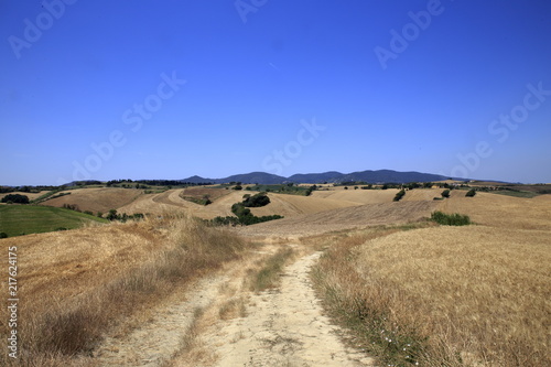 Paesaggio Toscano