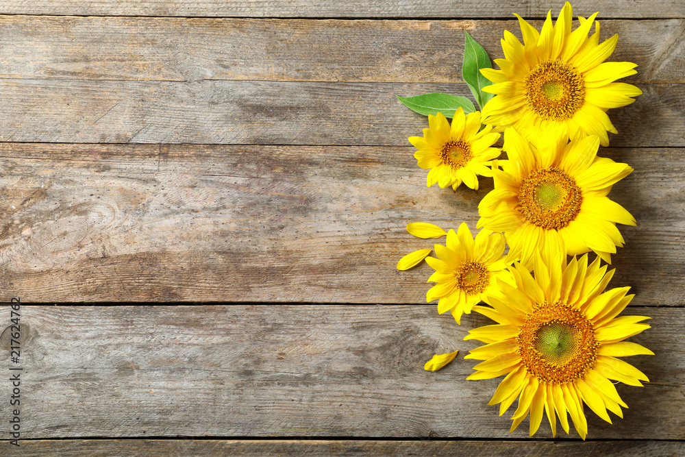 Yellow sunflowers on wooden background, top view Stock Photo | Adobe Stock