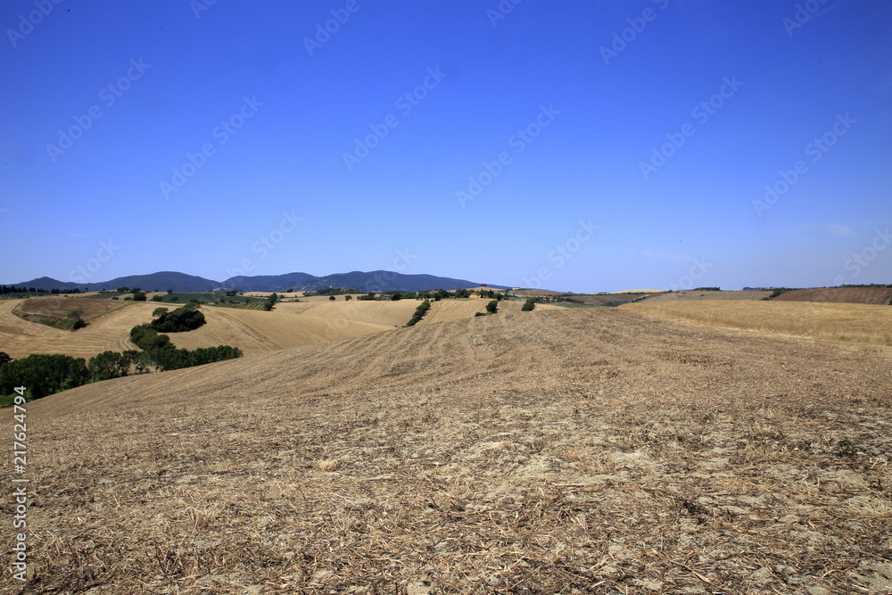 Paesaggio Toscano