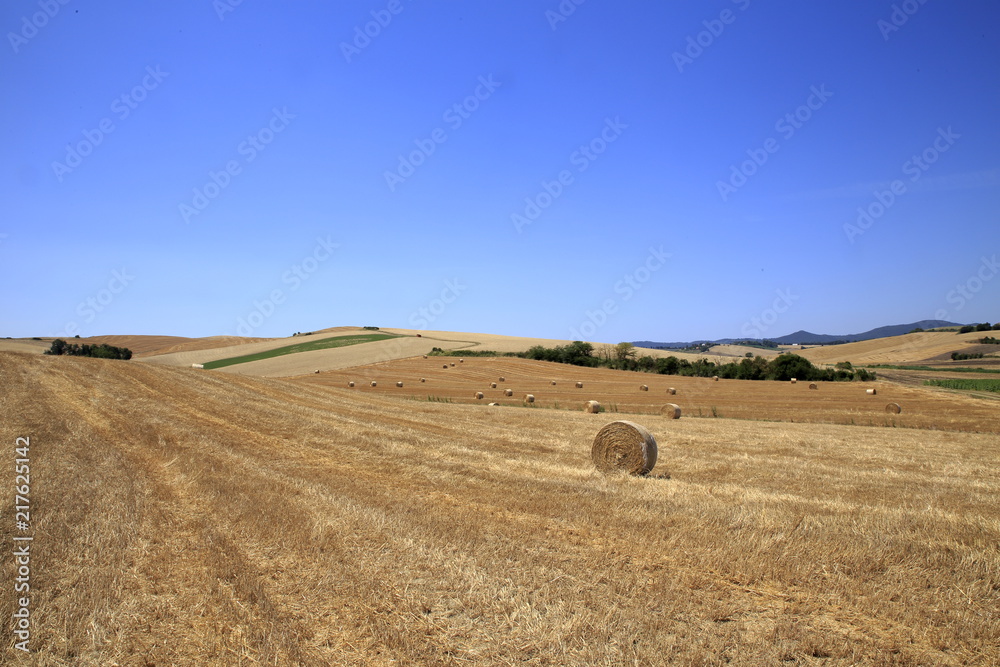 Obraz premium Paesaggio Toscano