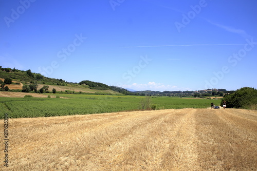 Paesaggio Toscano