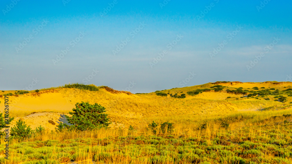 Sand Dunes and Grass of the Provincelands Cape Cod MA US.