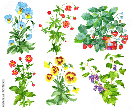 Clipart set with garden flowers of pansy and anemone, currant berries and strawberry plant isolated on white. Watercolor cartoon doodle illustration, botanical and fantasy drawings