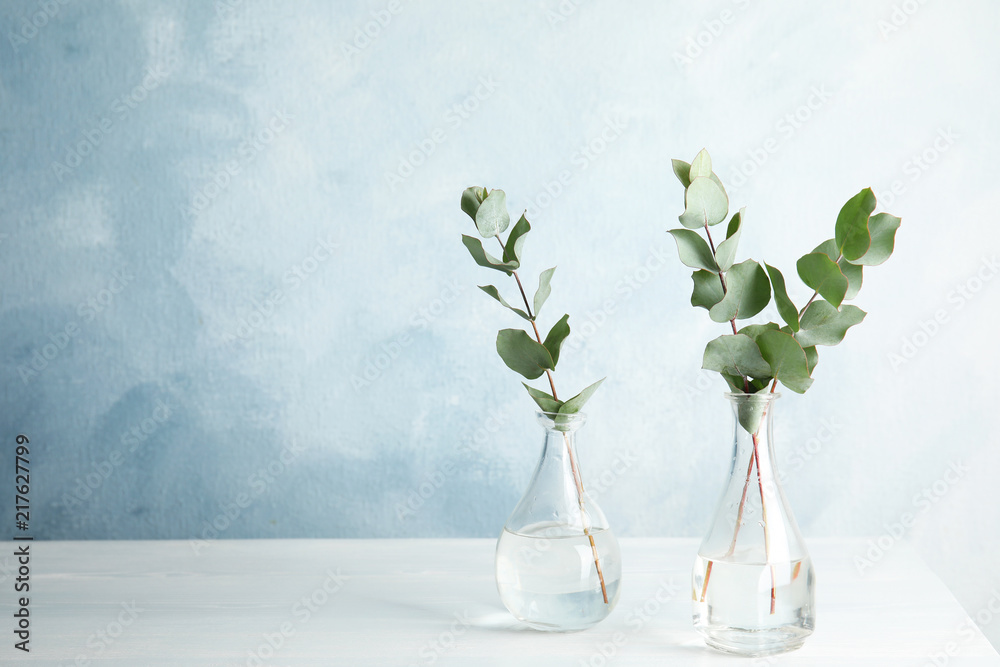 Eucalyptus branches with fresh leaves in vases on table - obrazy, fototapety, plakaty 