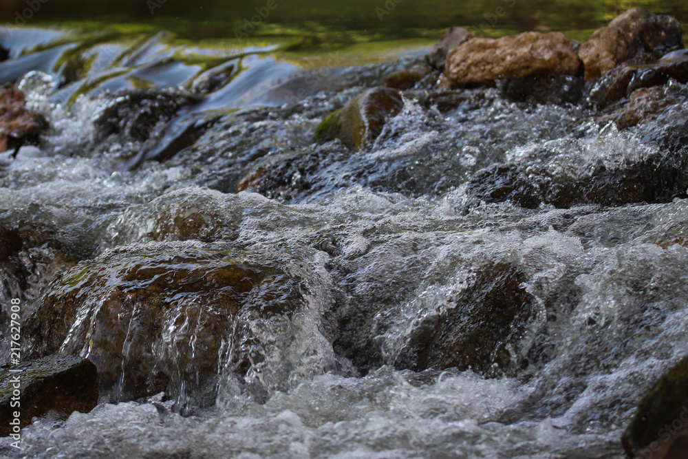 Rapids Rapids