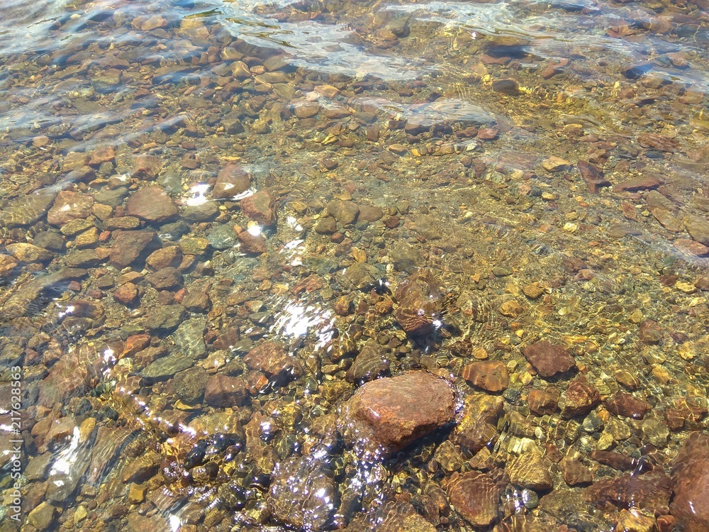 Nature Nature