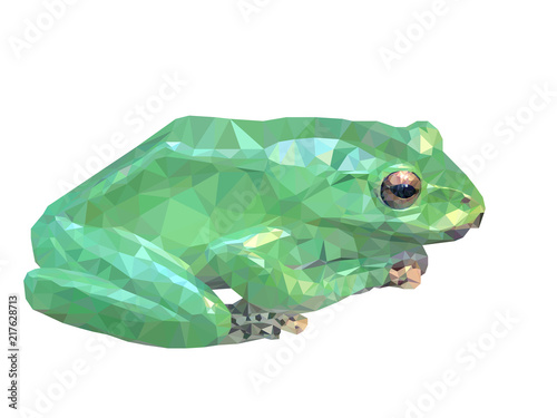 Vector illustration of low poly frog. Geometric polygonal frog silhouette. Frog triangles low poly vector.