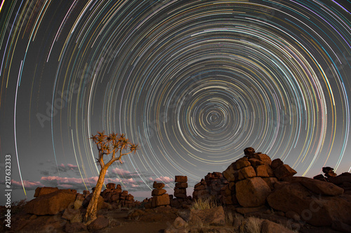 Star trails circle over quivertrees photo