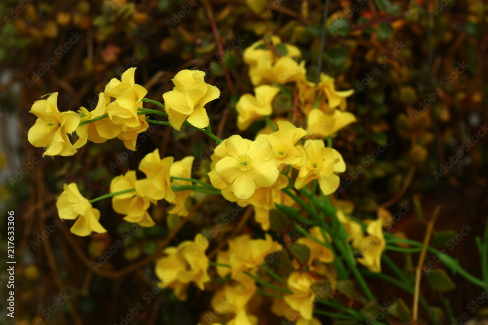 fake yellow flower blury background fake yellow flower blury background