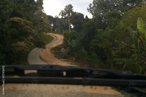 Wallpaper Mural Road through jungle, view behind windshield of car. Dangerous upward climb. Koh Samui, Thailand. Concept: trip, exotic place Torontodigital.ca