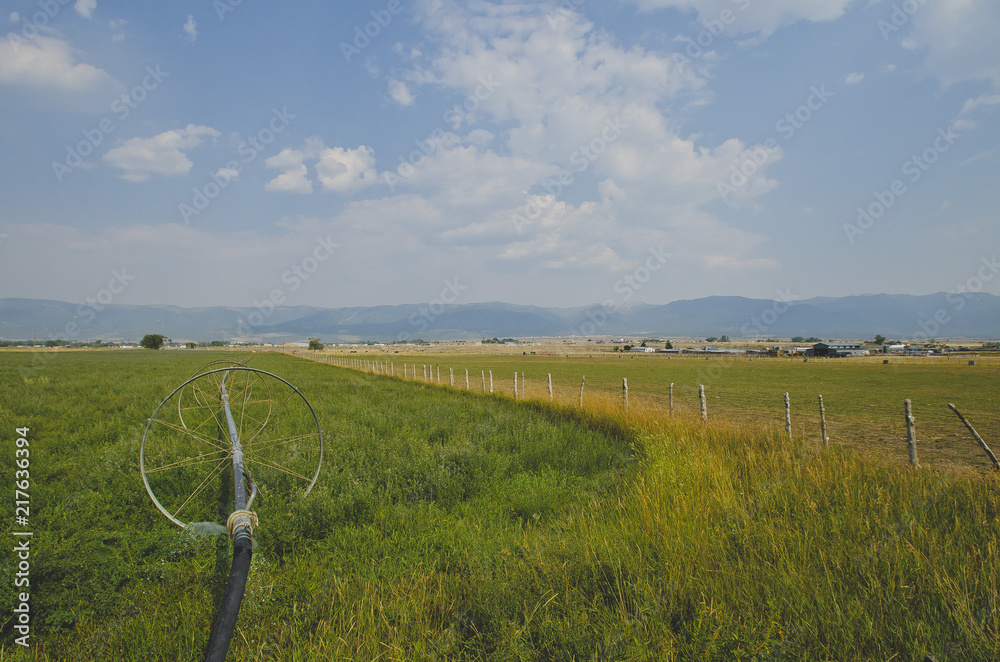 Φωτογραφία the wide open green grass field and fence line out in the farm land of the utah countryside