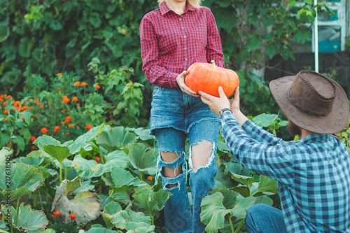 Family picking pumpkins at u-pick farm.
