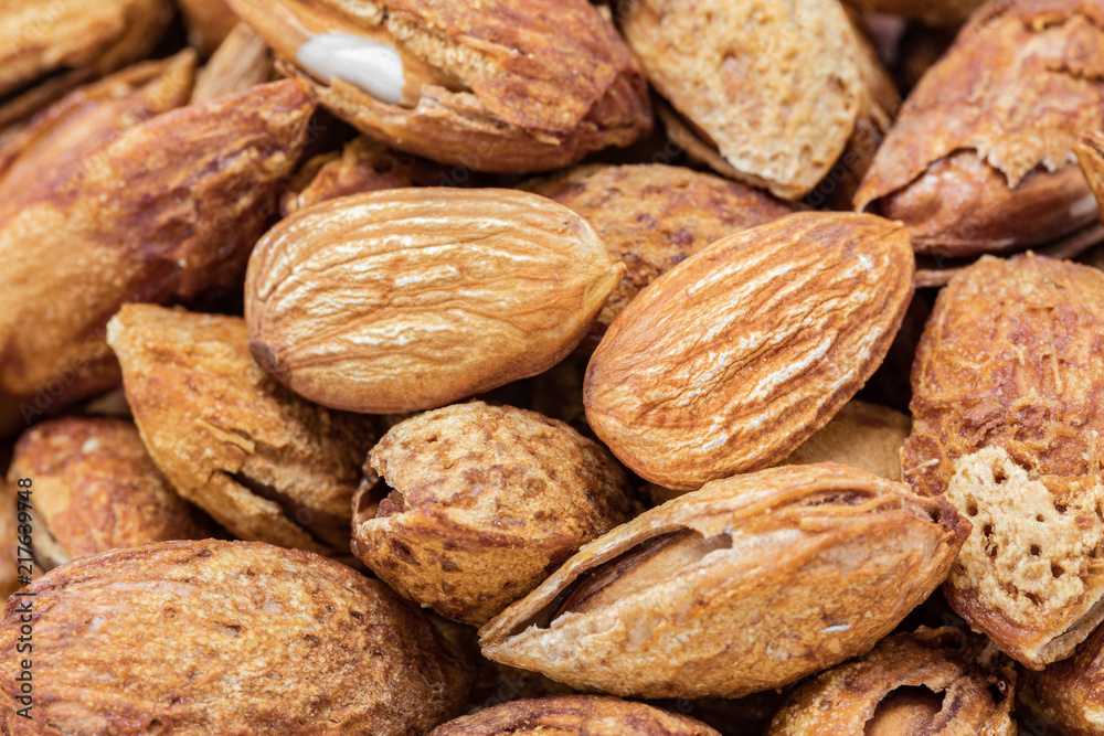 roasted almond seed high protein healthy natural food roasted almond seed high protein healthy natural food