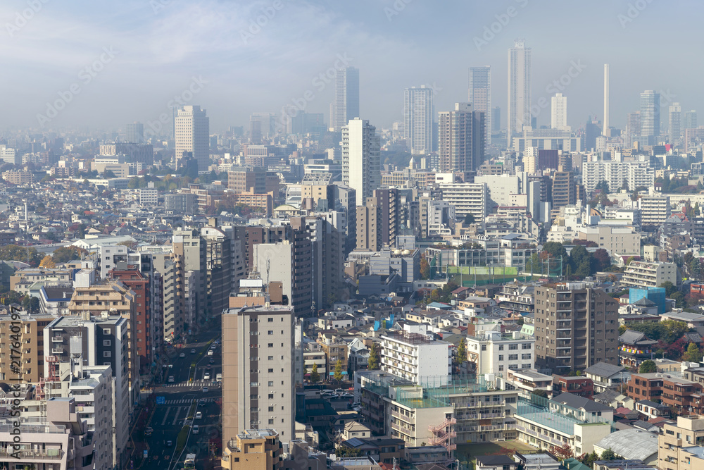 cityscape of tokyo city skyline from  skyscraper view, modern business office building with blue sky background in Tokyo metropolis city, Japan.