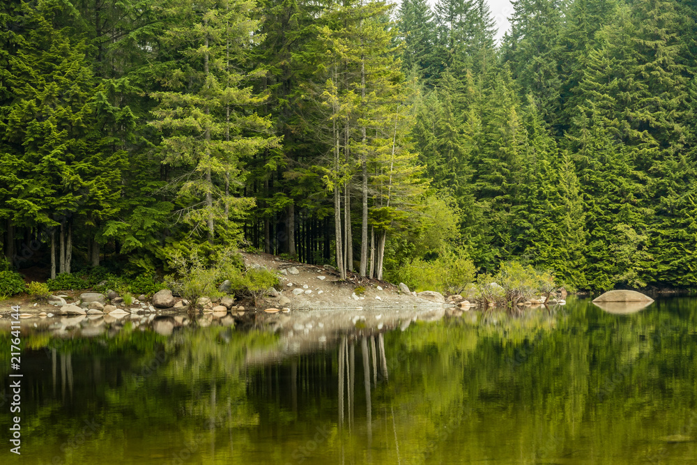Fototapeta premium calm lake with the reflection of surrounding trees on a cloudy day