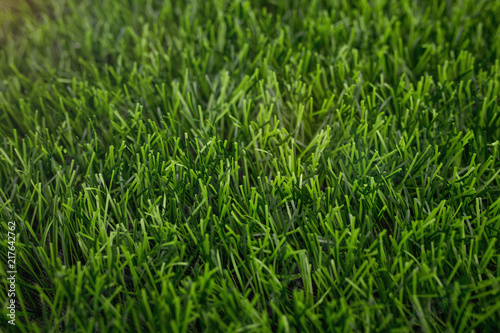 Artificial grass background. 