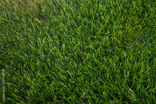 Artificial grass background with sunshine. Industrial grass.