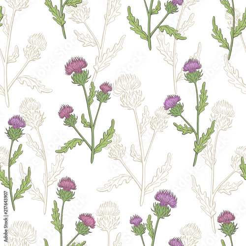 Thistle flower graphic color seamless pattern background sketch illustration vector