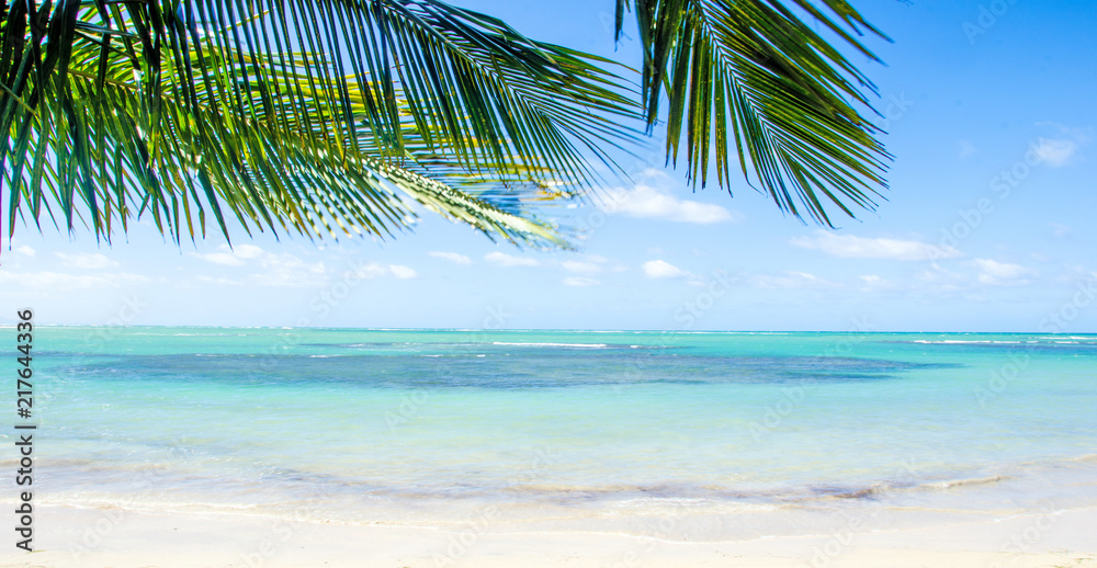 Naklejka premium Ferien, Tourismus, Sommer, Sonne, Strand, Auszeit, Meer, Glück, Entspannung, Meditation, Palmen, Mangroven: Traumurlaub an einem einsamen, karibischen Strand :) 
