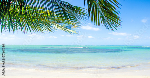 Ferien  Tourismus  Sommer  Sonne  Strand  Auszeit  Meer  Gl  ck  Entspannung  Meditation  Palmen  Mangroven  Traumurlaub an einem einsamen  karibischen Strand    