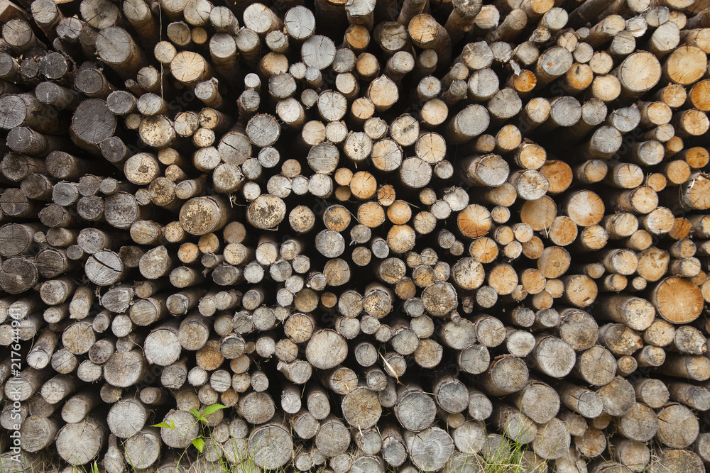 closeup of round wood logs for use in stove or fire