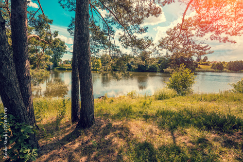 Fototapeta Naklejka Na Ścianę i Meble -  View of the lake on the edge of the forest. Beautiful nature. Lake with blue cloudy sky