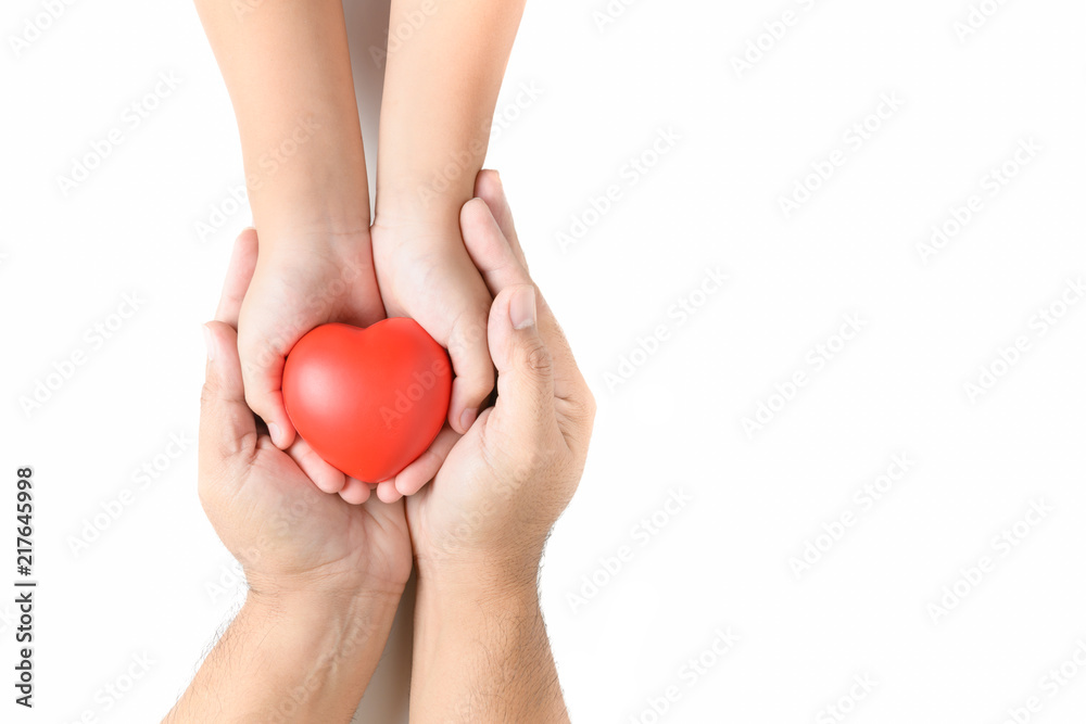 Fototapeta premium adult and child hands holding red heart isolated