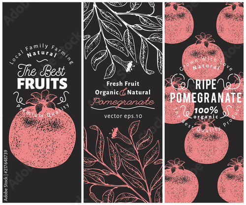 Pomegranate fruit banner set. Hand drawn vector fruit illustration. Engraved style vintage botanical background. Pomegranate design templates.
