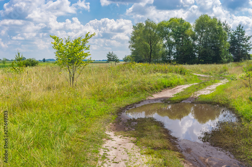 Summer landscape with meandering earth road in Poltavskaya oblast, Ukraine