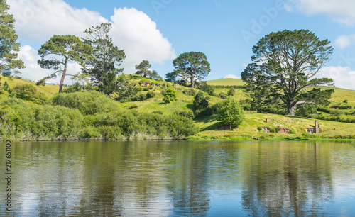 The landscape and beautiful nature in Alexandra Farms in Matamata  New Zealand.