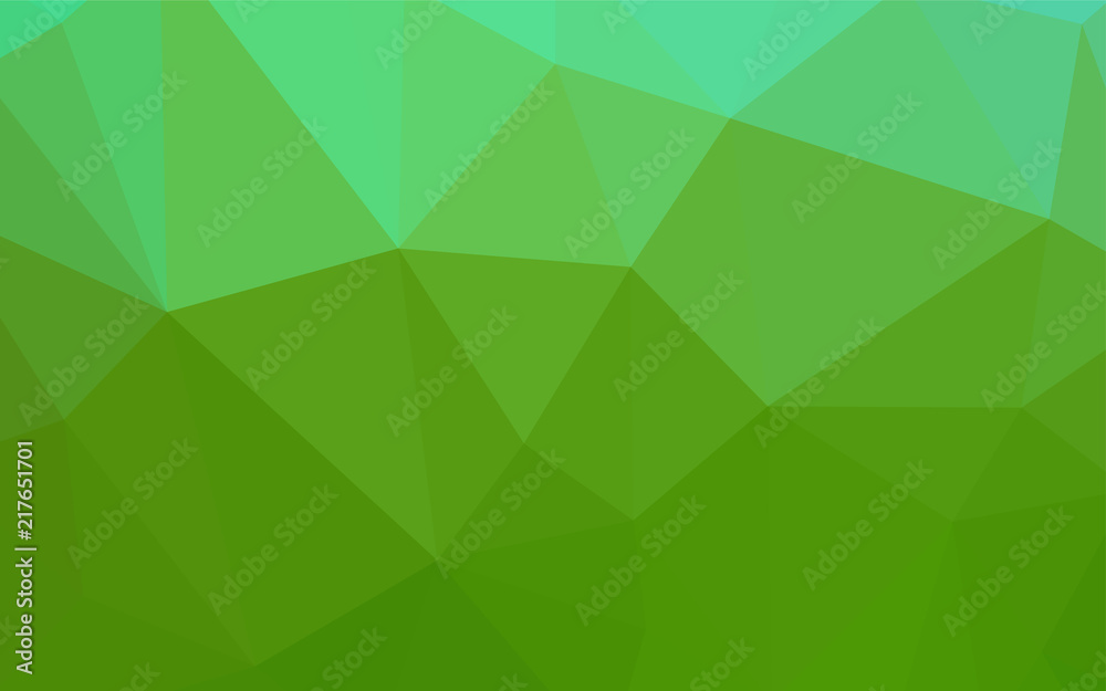 Light Green vector polygon abstract background. Light Green vector polygon abstract background.