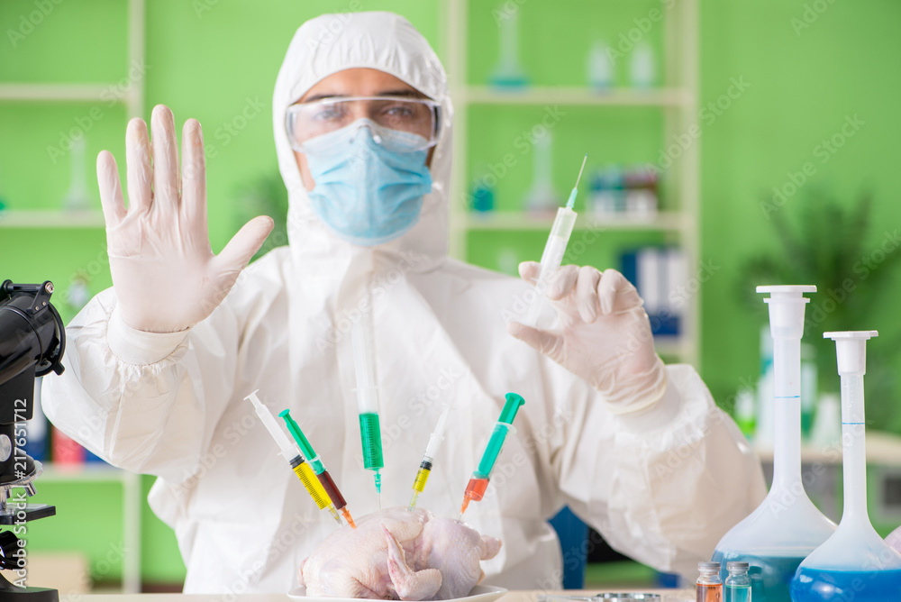 Lab assistant testing GMO chicken Lab assistant testing GMO chicken