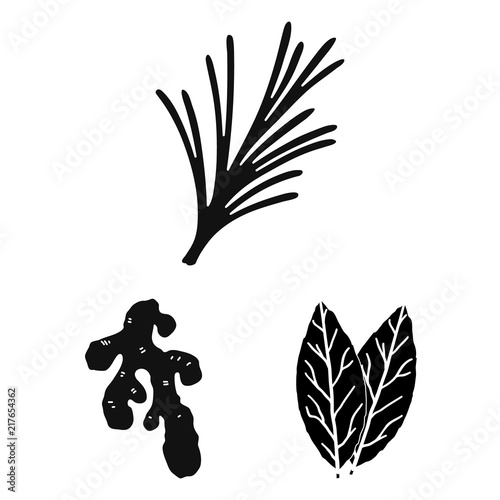 Herb and spices black icons in set collection for design.Different kinds of seasonings vector symbol stock web illustration.